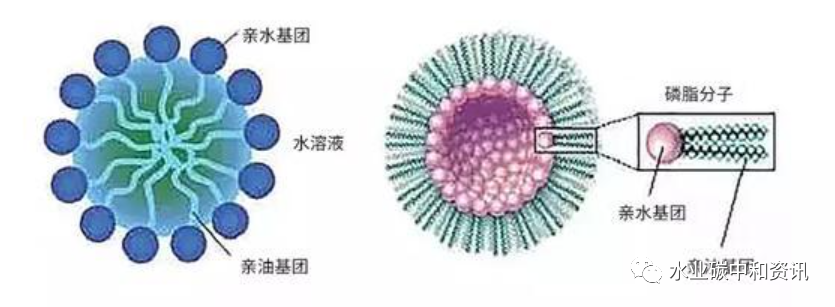 疫情背景下污水中表面活性剂对污水处理效果影响